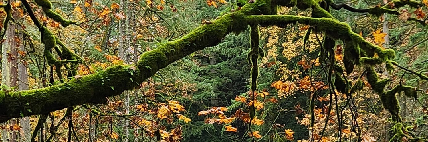 ashton_dierks's profile banner image