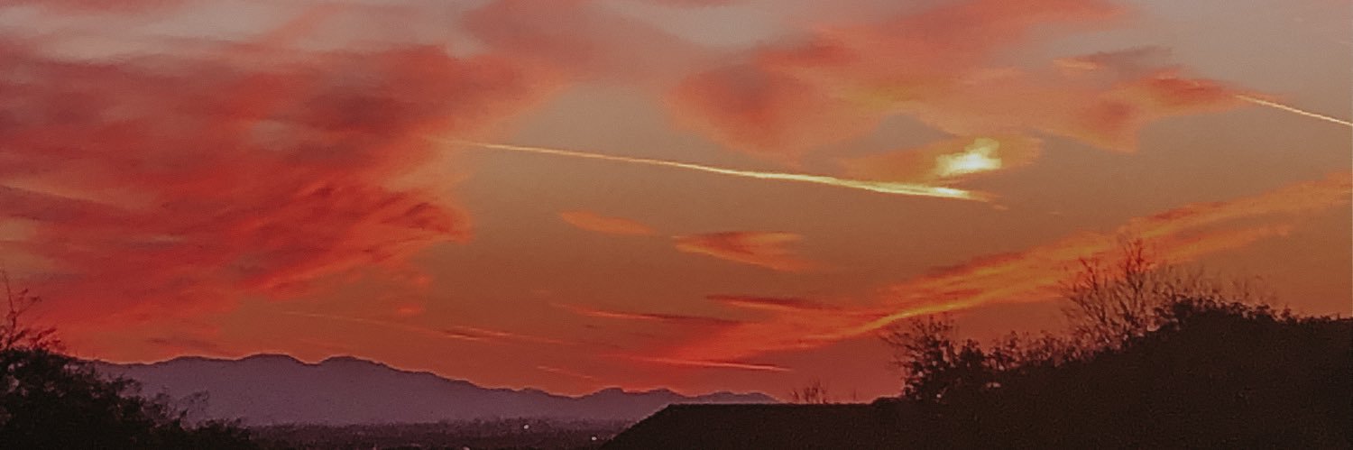 DelaneyHalmrast's profile banner image