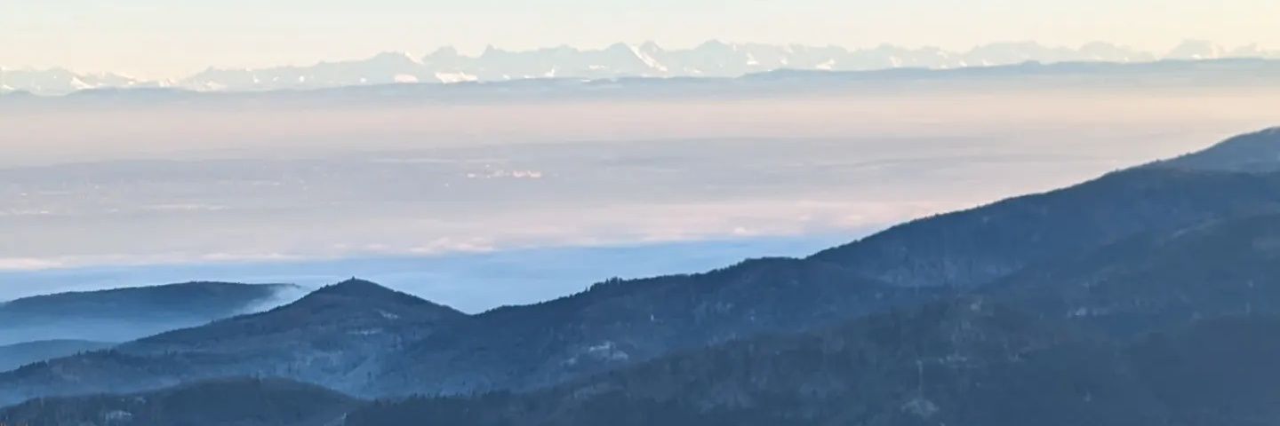 Taegwyn's profile banner image