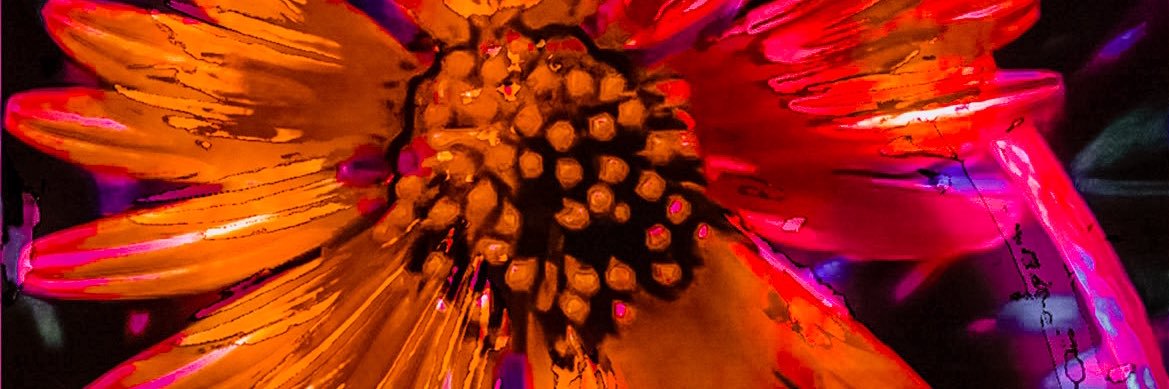 zahnley1's profile banner image