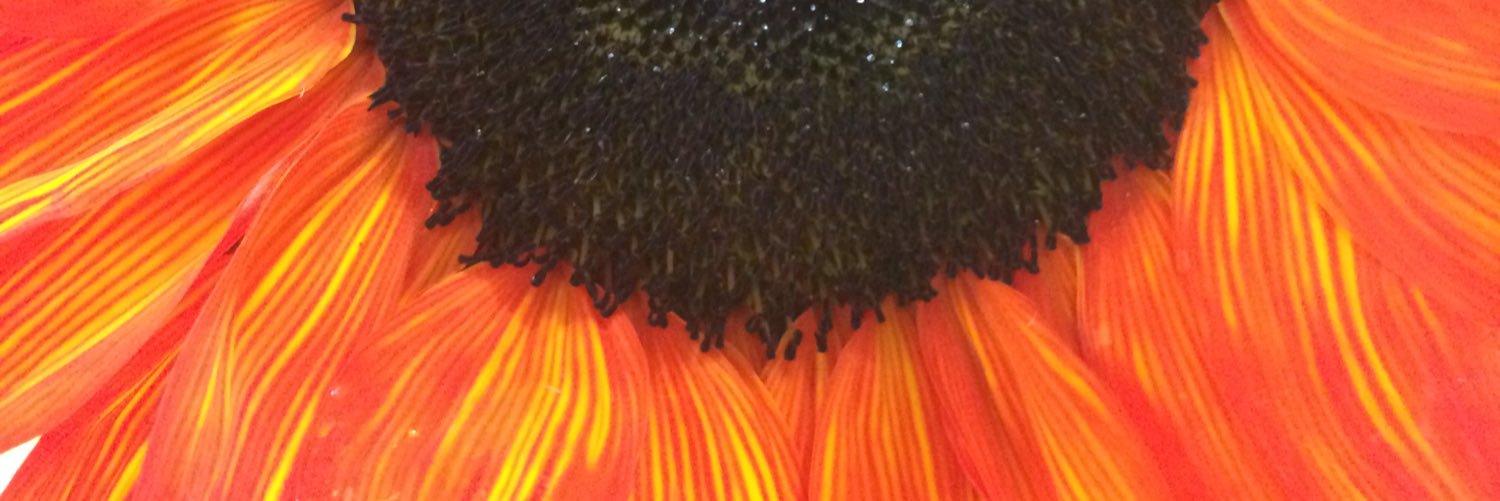 tonyabarger's profile banner image
