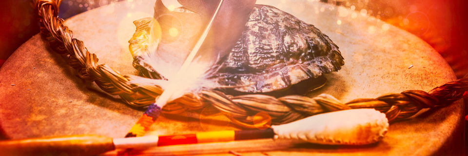 FNHSSM_research's profile banner image