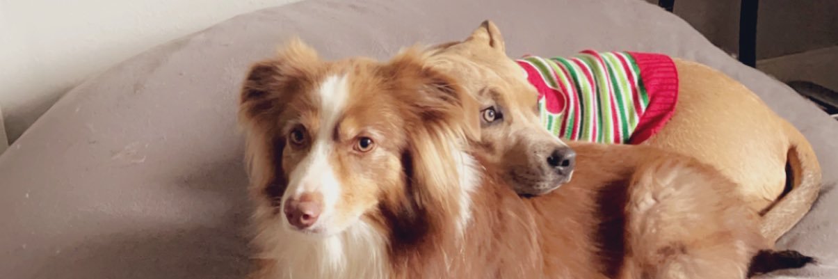 mandymacc_'s profile banner image