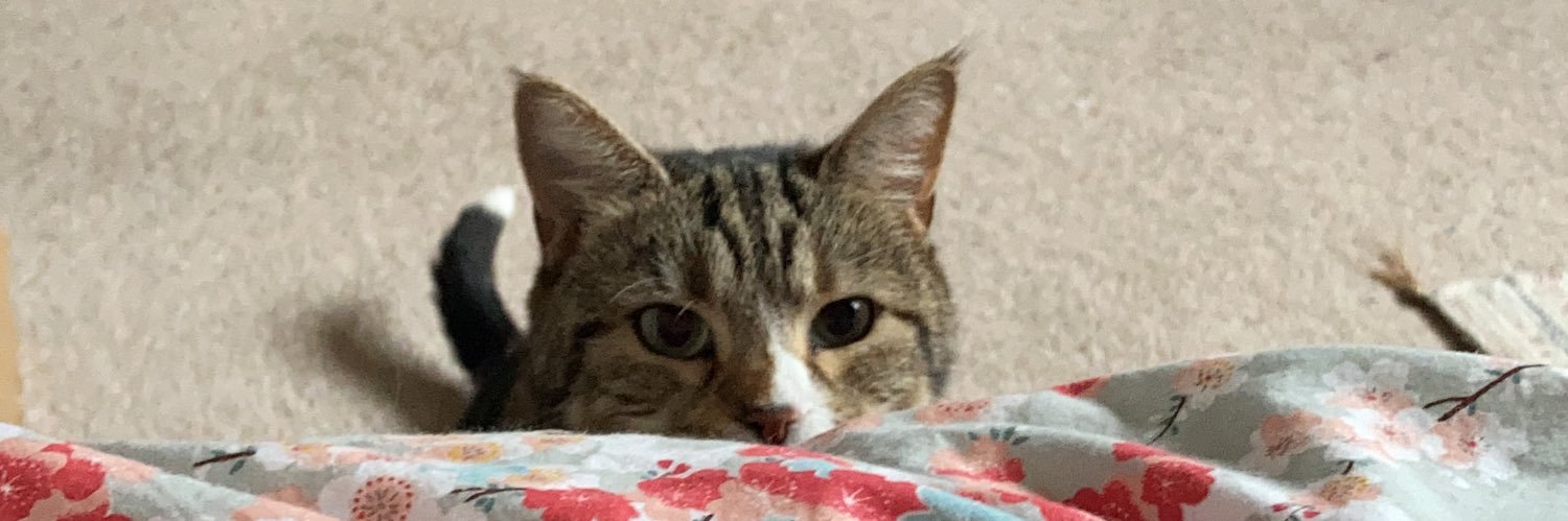 hs_parky's profile banner image