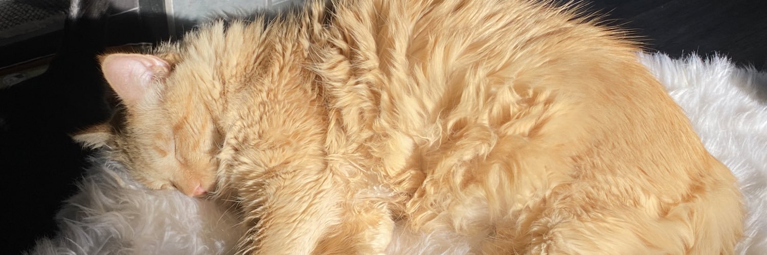 best_blonde's profile banner image