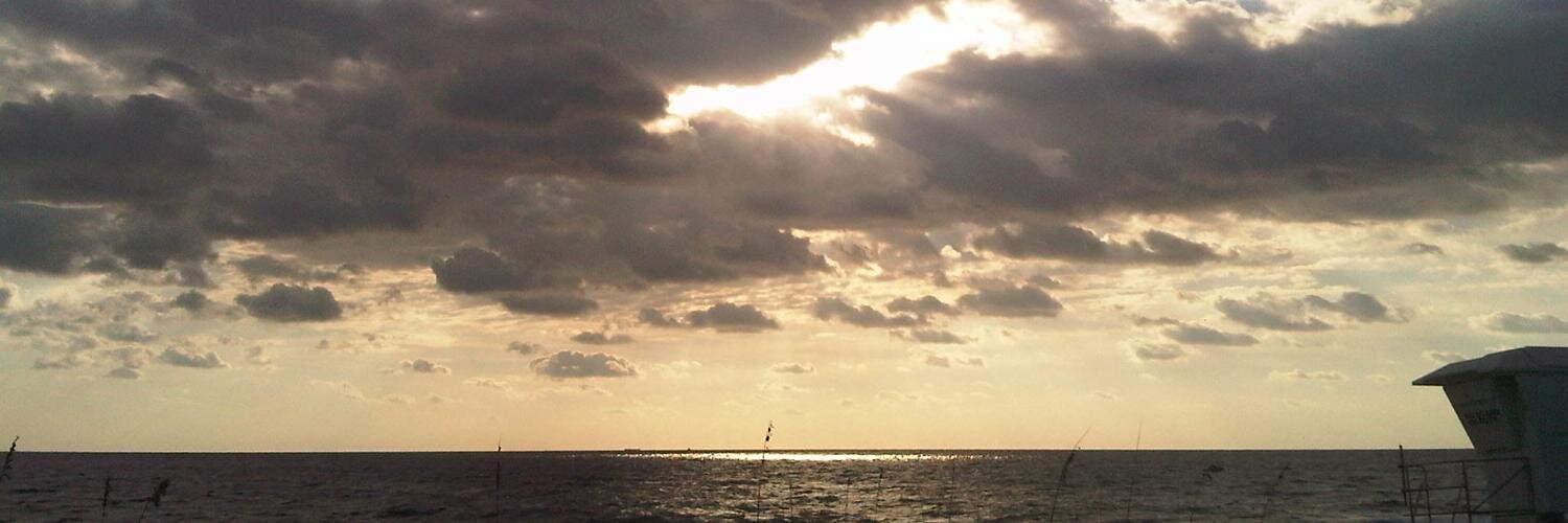 Claudia Kirk Barto banner