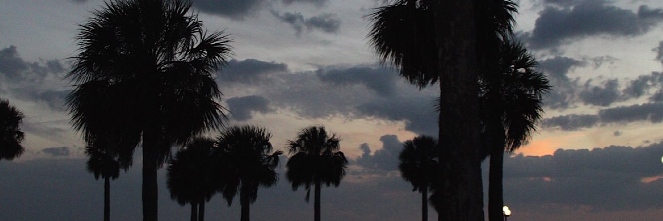 lexmiller7's profile banner image