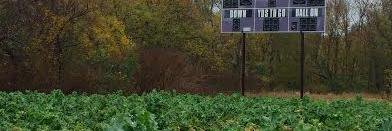 WE Over Me Farm at Paul Quinn College banner