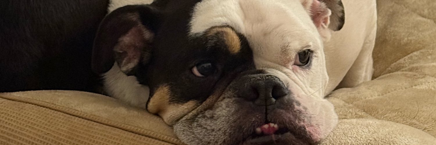 GabeCoelhoo's profile banner image