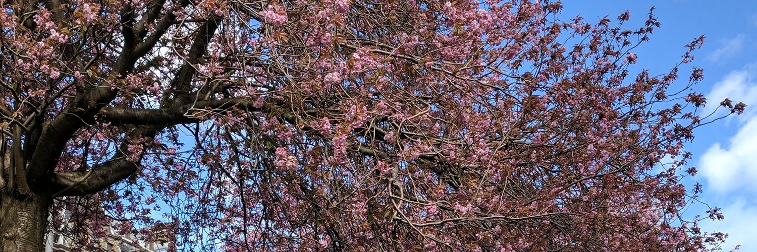 Carron Easdon banner