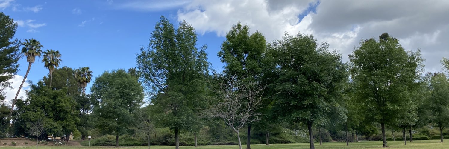 可会装人了 banner