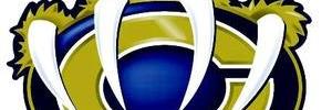 ISDBEARS's profile banner image