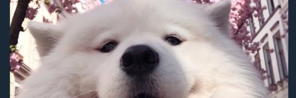 TE_NoStigma's profile banner image