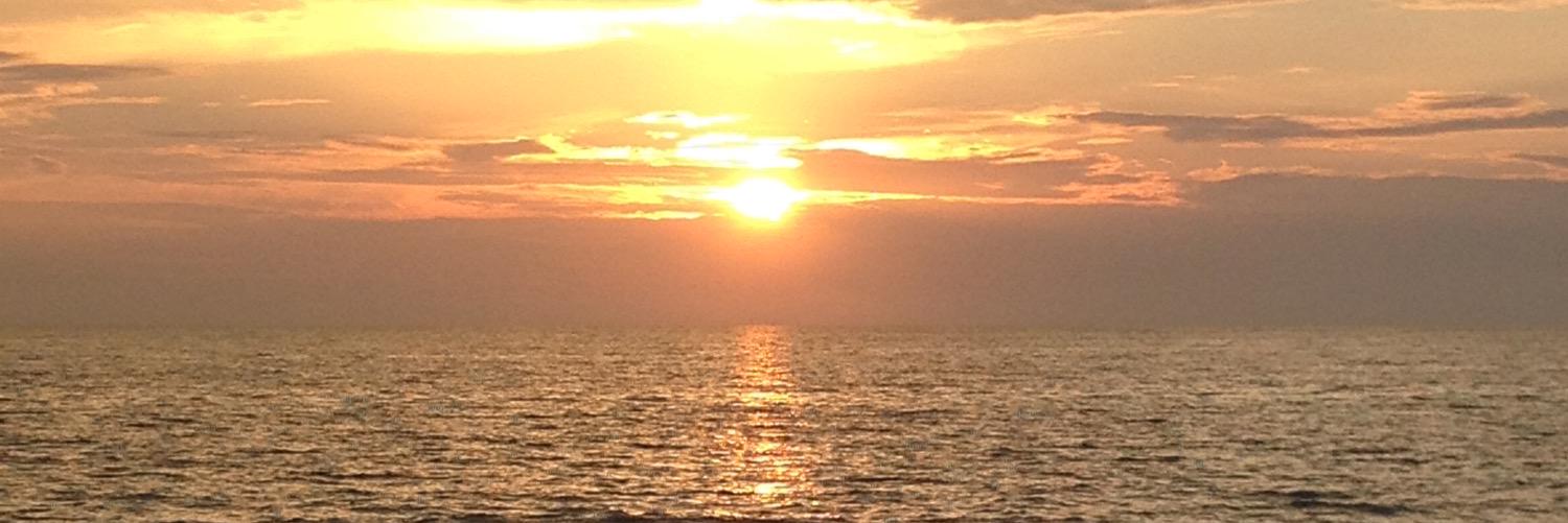 acton_diane's profile banner image