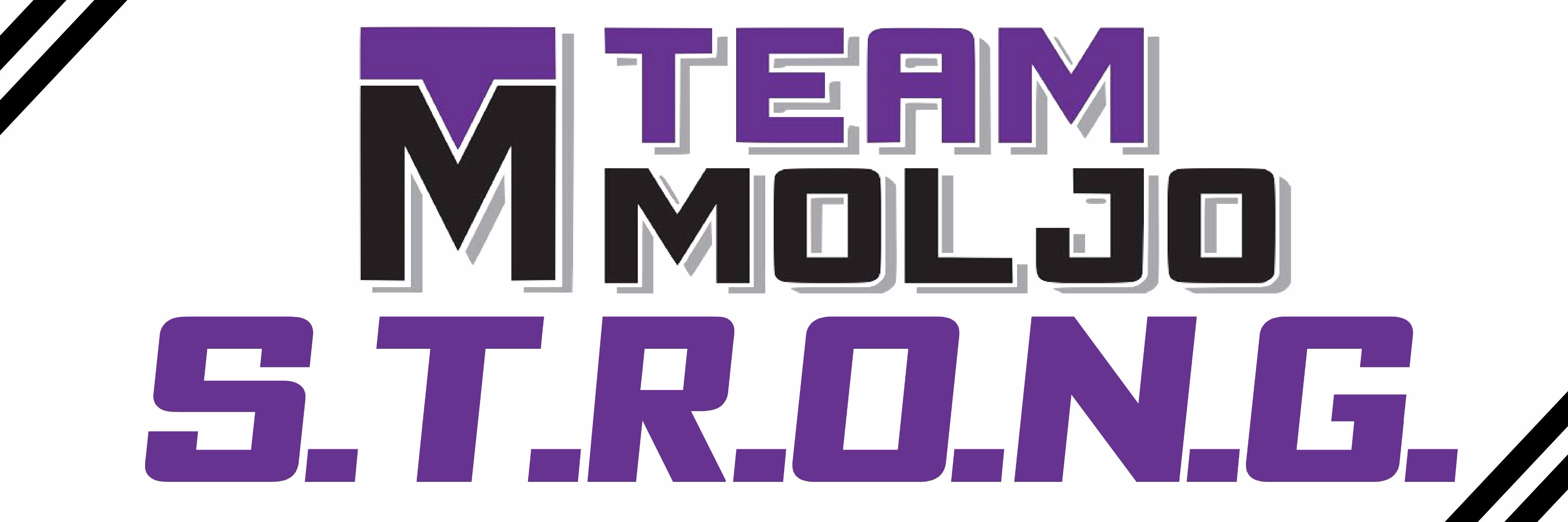 TeamMoljo's profile banner image