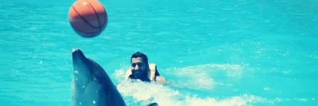 amer_asadd's profile banner image