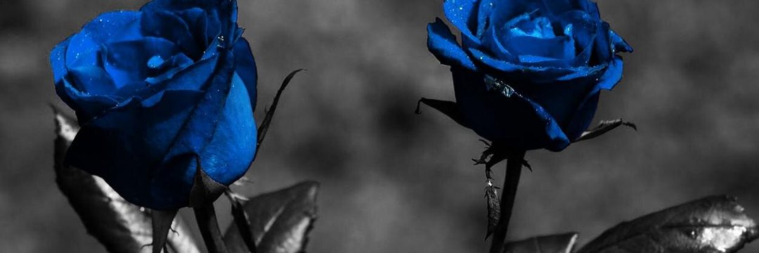 chandraklupena's profile banner image