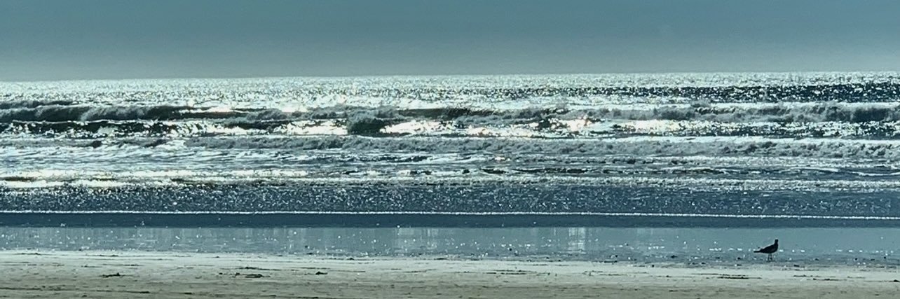 CAbeachDawn's profile banner image