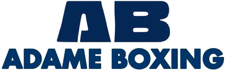 AdameBoxing's profile banner image