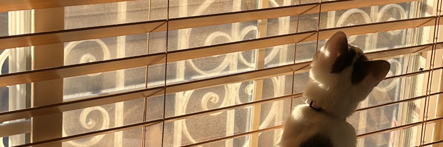 mikumlord's profile banner image