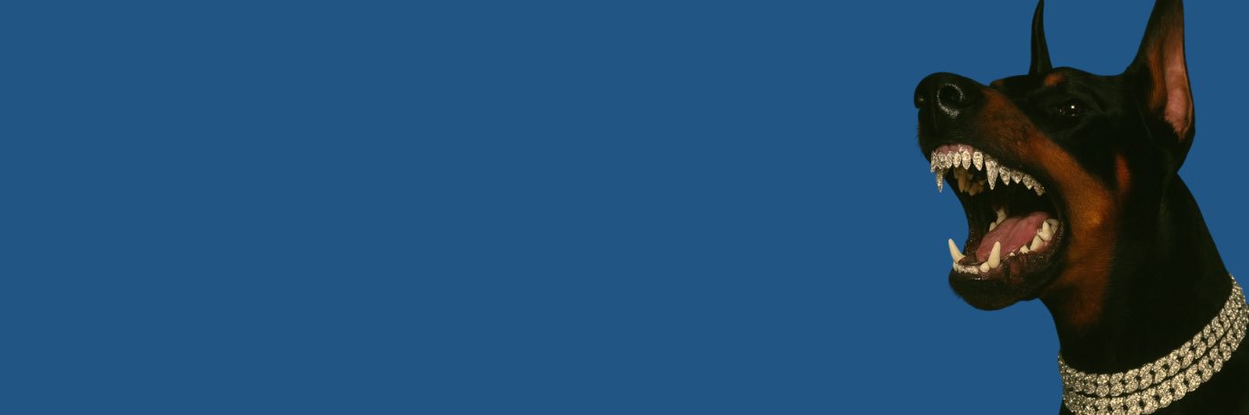 rxchdawwwg's profile banner image