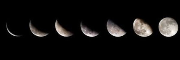 picover Profile Banner