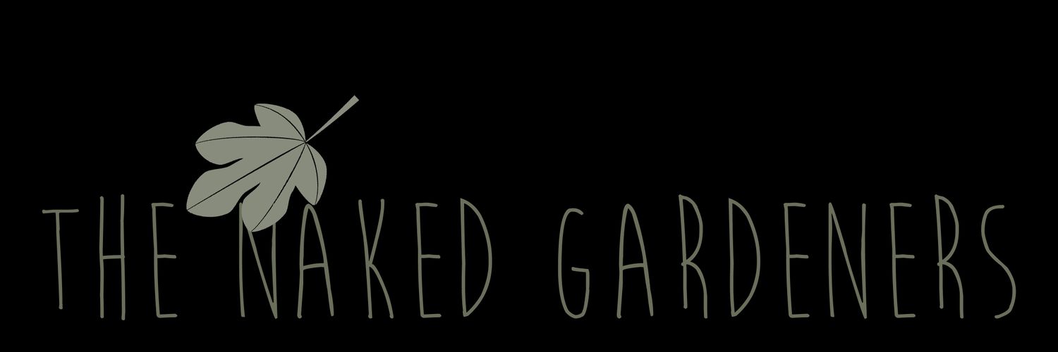 MathewPickles's profile banner image