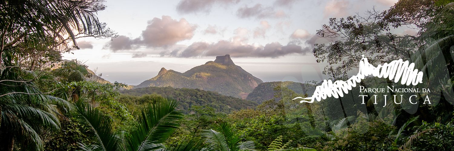 Parque Nacional da Tijuca - BRA banner