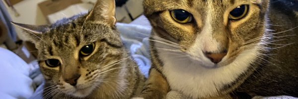 meb1102 Profile Banner