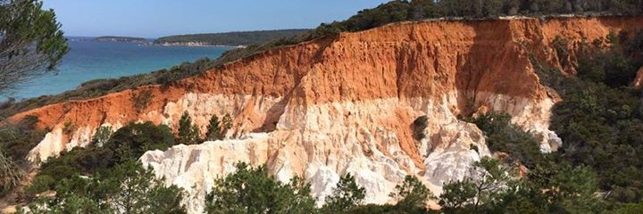 soilvasu's profile banner image