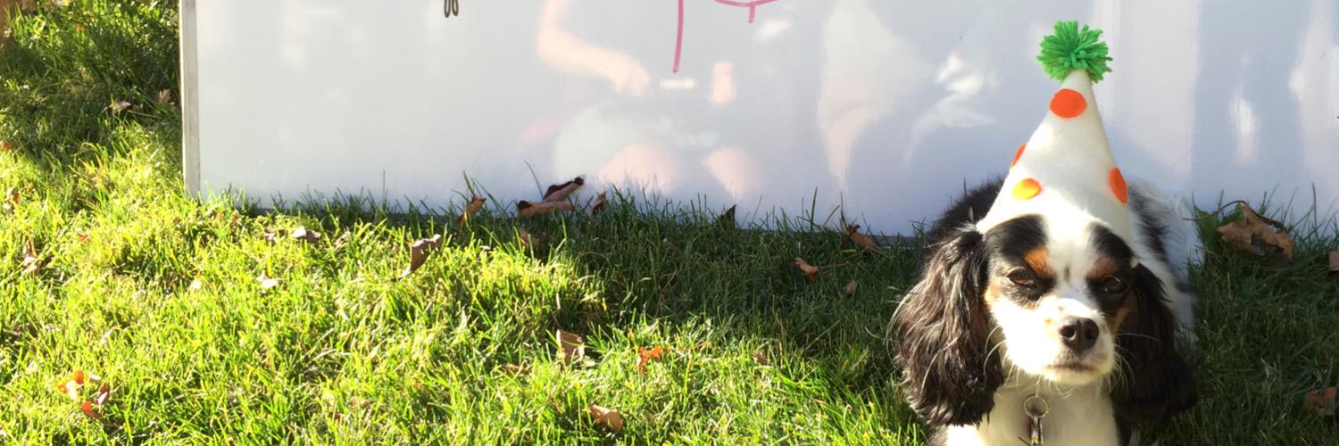 RudyFurLife's profile banner image