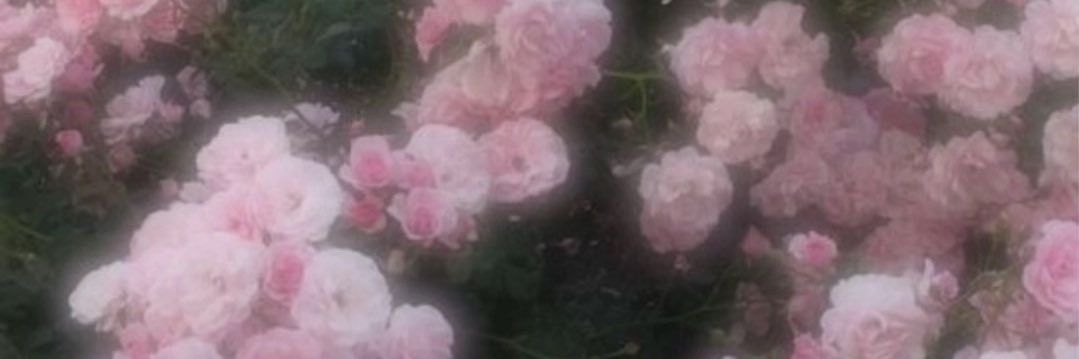 nanamarrru430's profile banner image