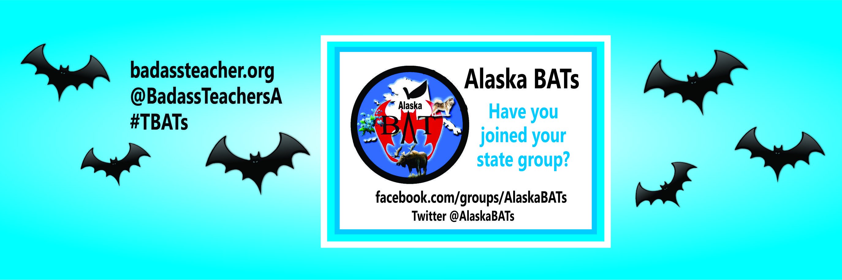 AlaskaBATs banner