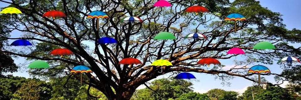 payungbogor's profile banner image