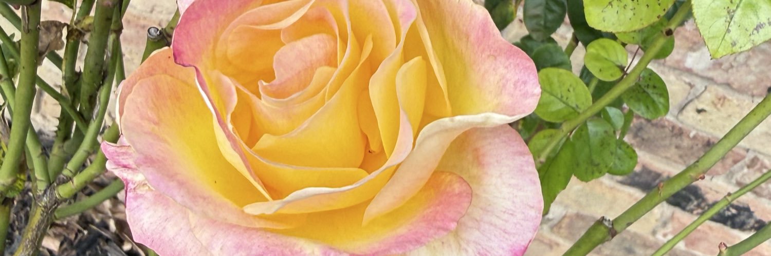 mcvancie's profile banner image