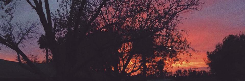 itzjofosho's profile banner image