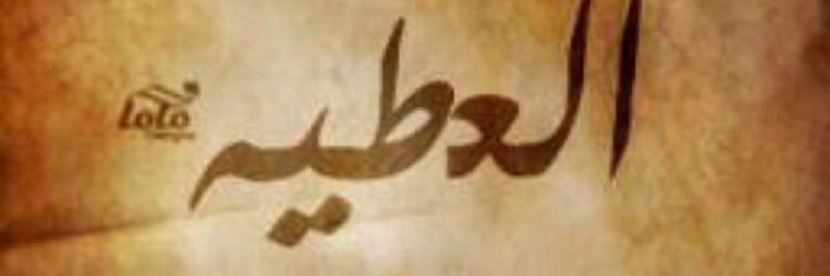 NadiaSaadAlAtte's profile banner image