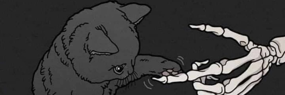 briiiidy's profile banner image