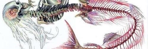 _keyyarah's profile banner image