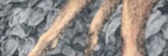 XxkuxxXx's profile banner image