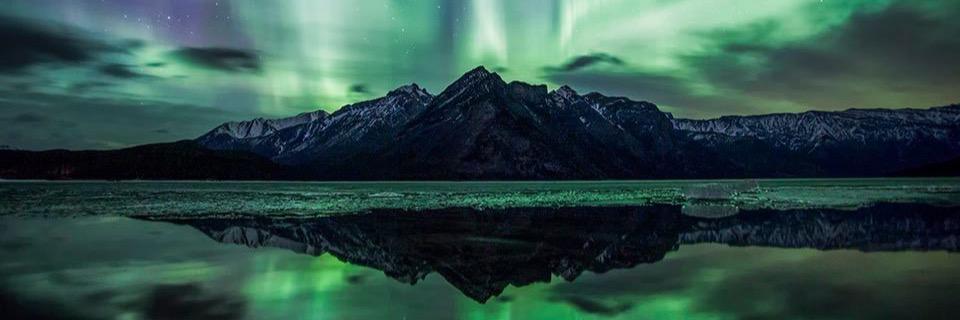 flygurrl's profile banner image