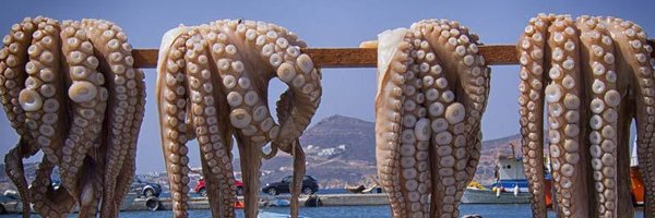 Un_pseudal Profile Banner