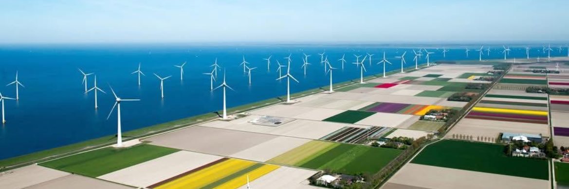 Netherlands Embassy in Kenya banner