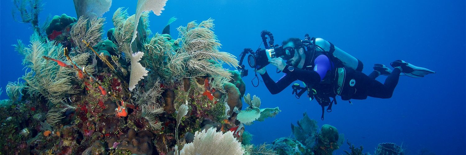 Roatan's profile banner image
