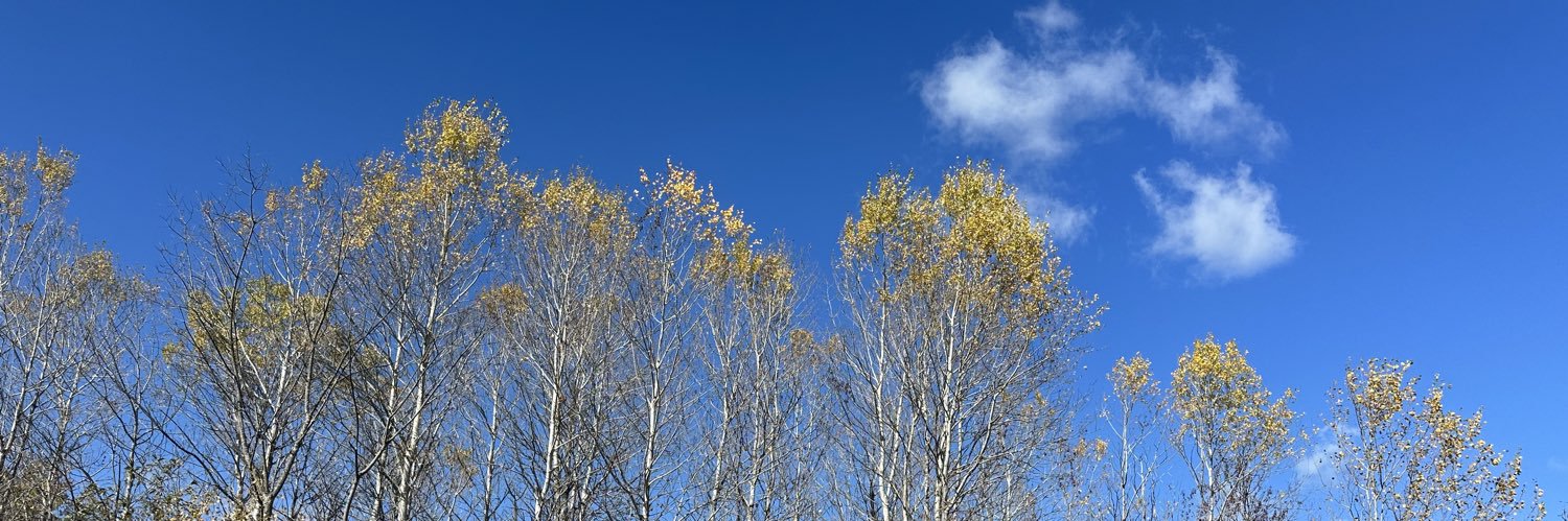 Valerie Morkevičius banner