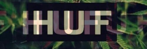 wV banner