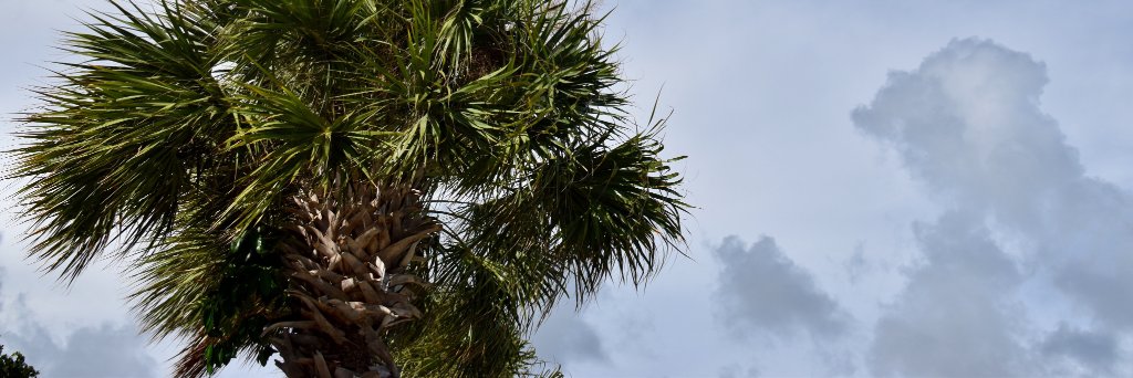 rutvijgb's profile banner image
