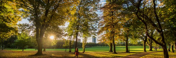CityMayorLeic Profile Banner