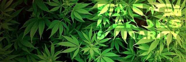 BigHeroesSolidarity banner