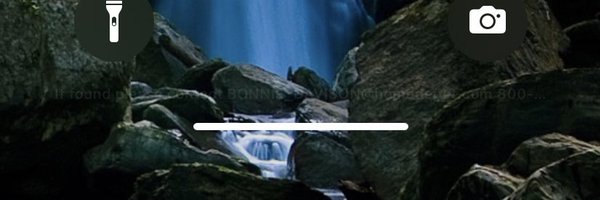 HDIS_Bonnie Profile Banner